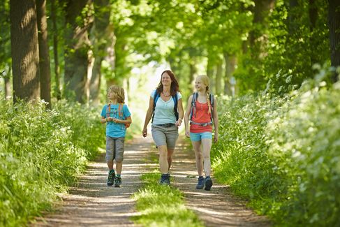 Eine Mutter wandert mit ihren zwei Kindern durch einen sonnenbeschienen Wald.